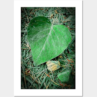 Vivid Green Leaf Heart Posters and Art